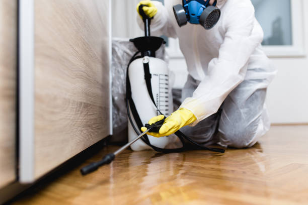 Best Affordable Pest Control Services  in San Saba, TX