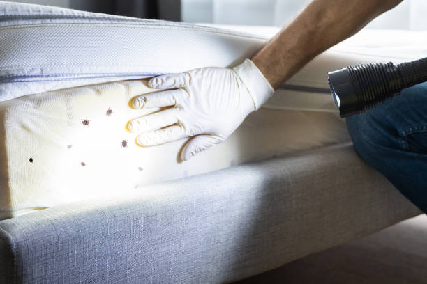 Best Residential Pest Control  in San Saba, TX