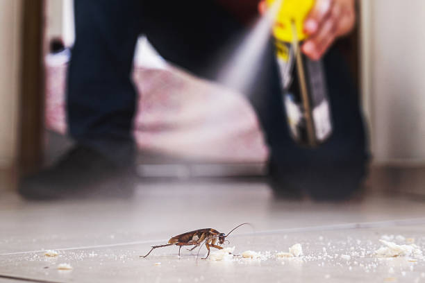  San Saba, TX Pest Control Pros