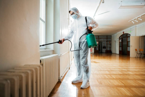 Best Pest Removal Services  in San Saba, TX