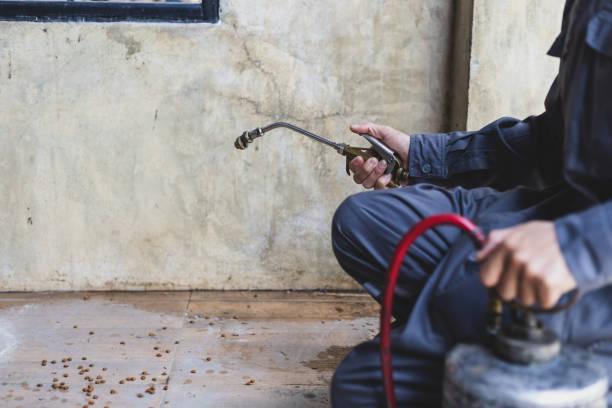 Best Pest Control Near Me  in San Saba, TX