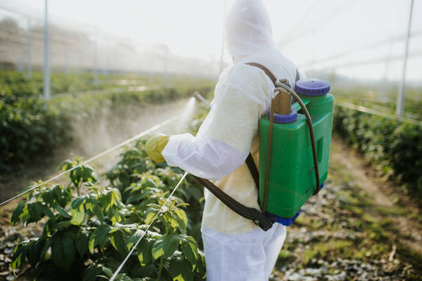 Best Best Pest Control Companies  in San Saba, TX